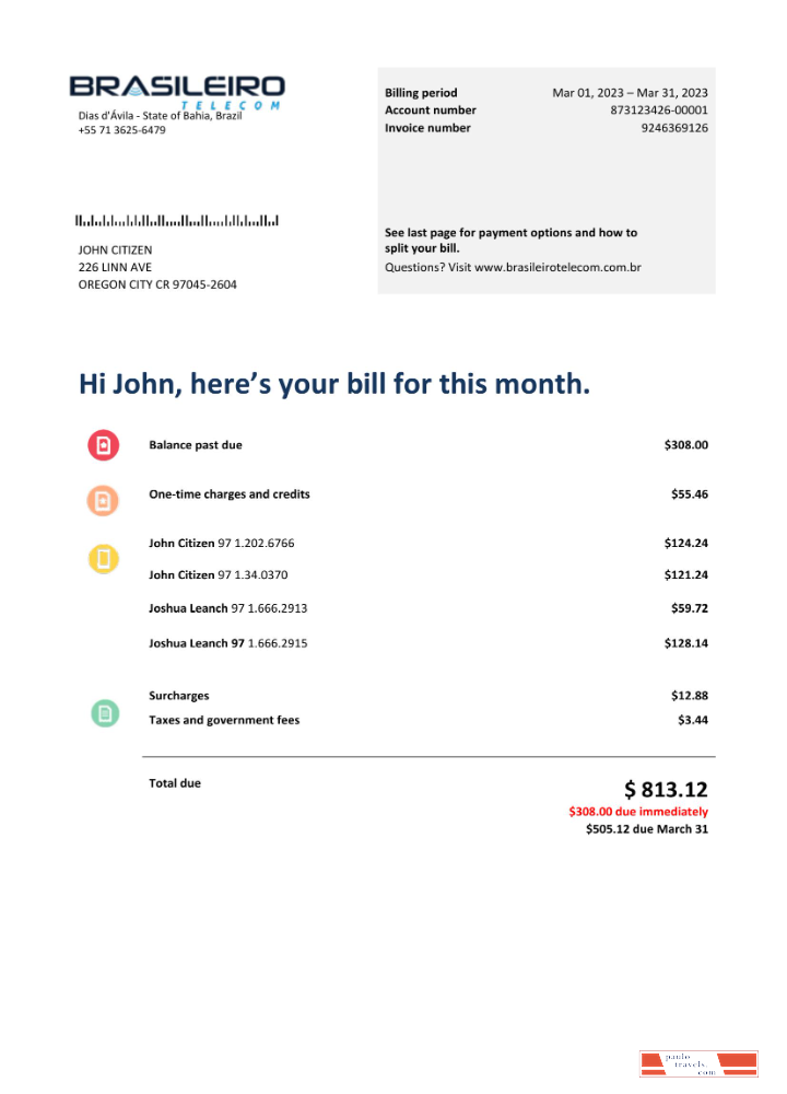 Brazil Braziliero Telecom telecommunication bill Word and PDF template